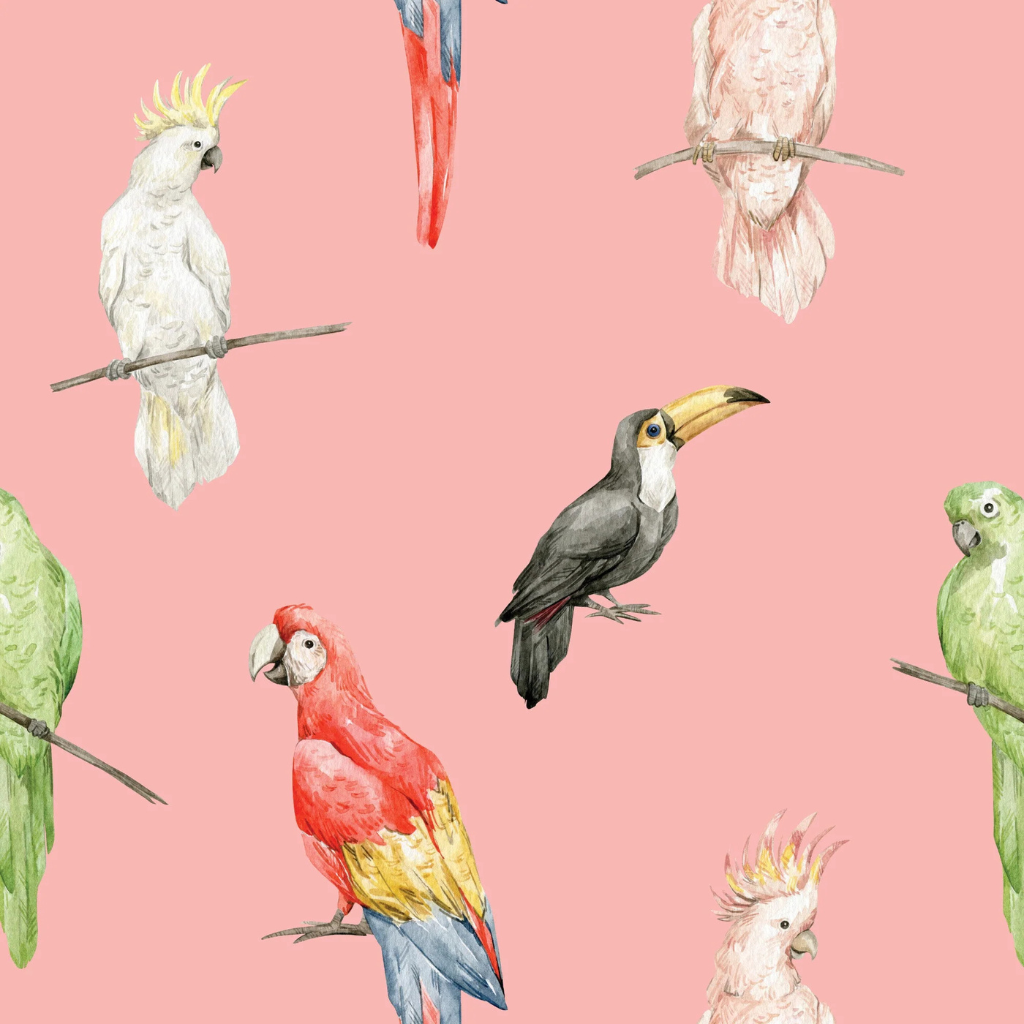 Pink exotic bird peel and stick wallpaper for a tropical aesthetic
