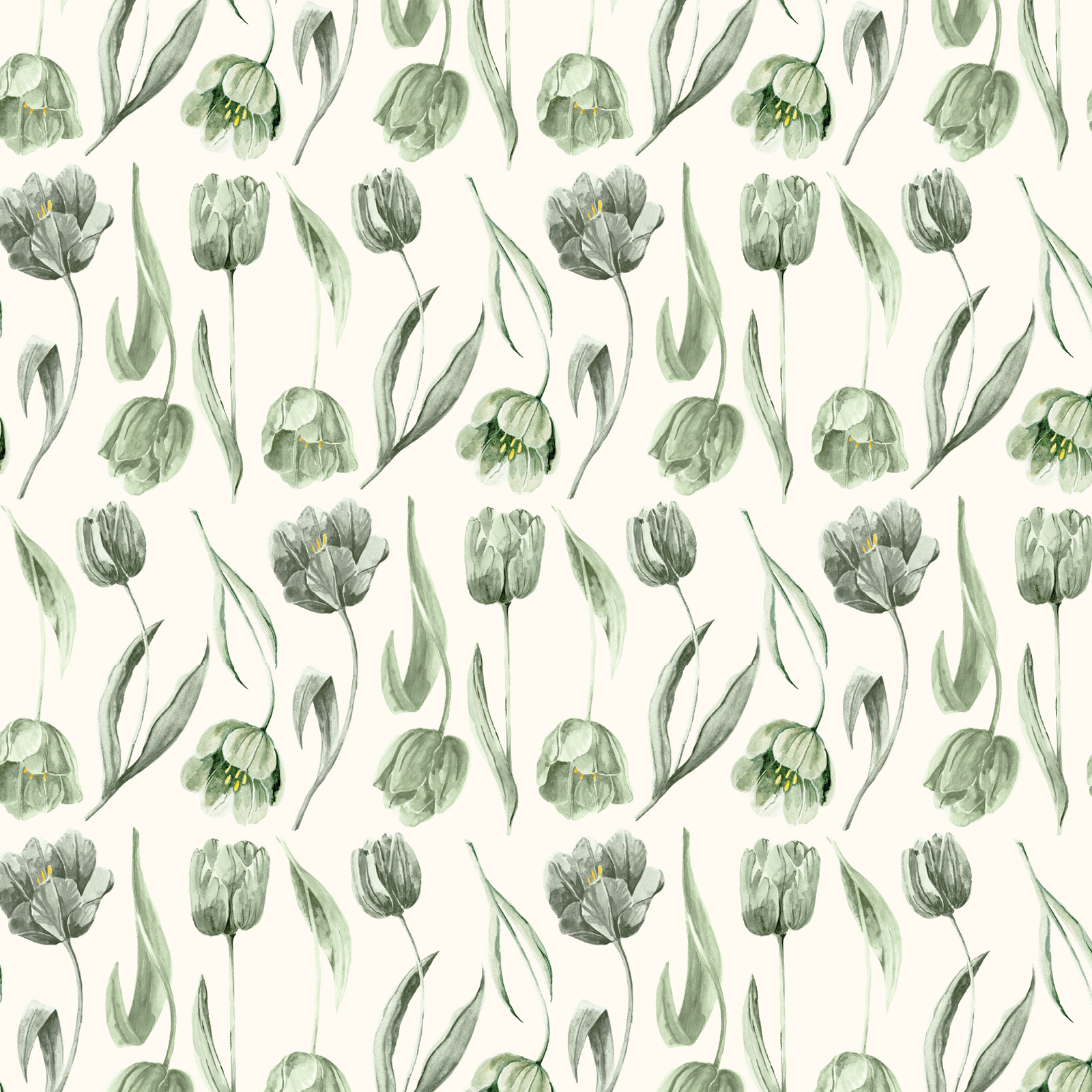 Dutch Watercolor Tulips - Green & Cream
