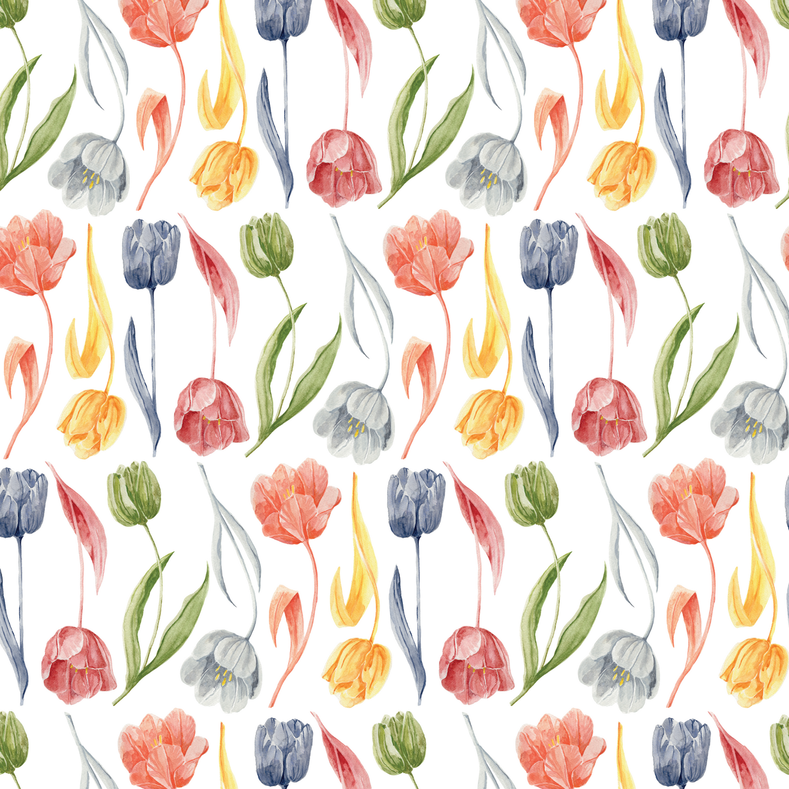 Dutch Watercolor Tulips - Multicolor