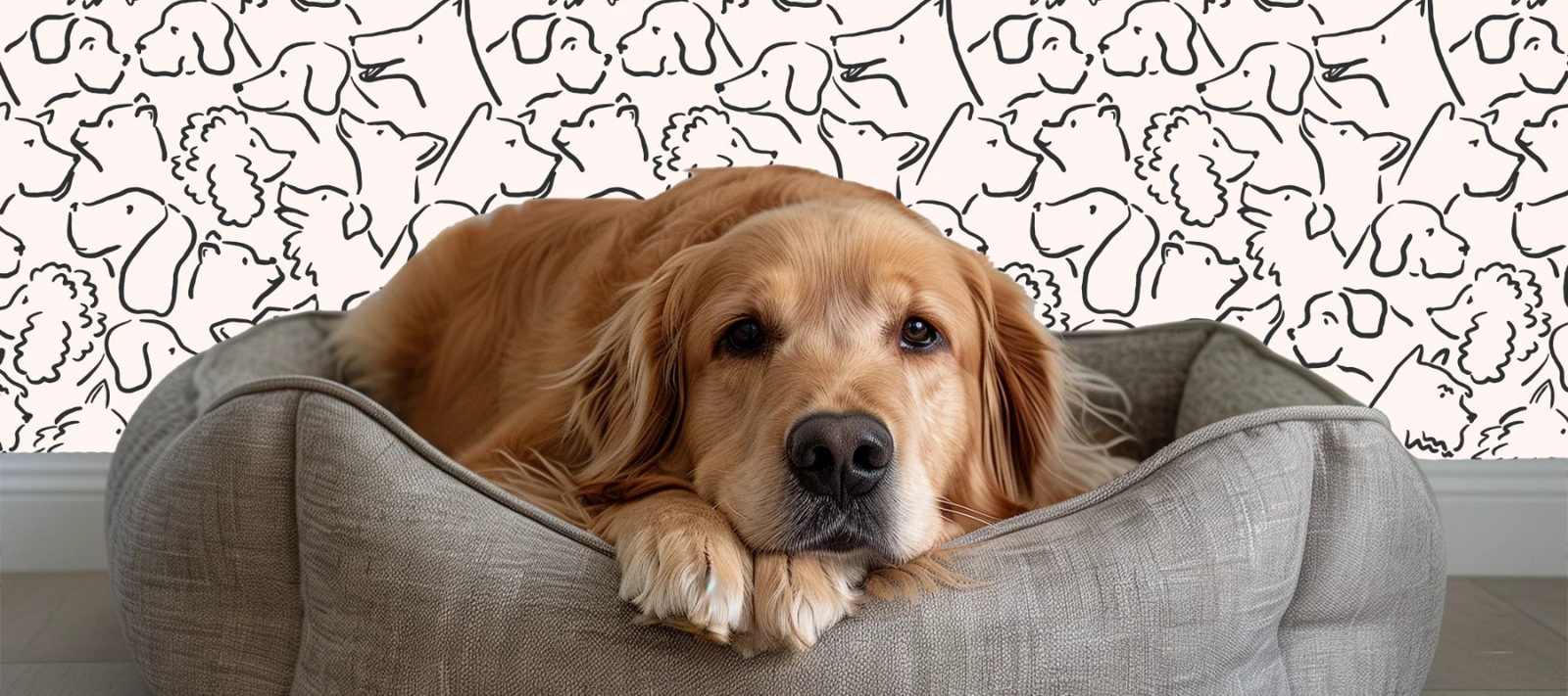 Dog Wallpaper We're Obsessed With: 8 Playful Prints for Pet People by Funky Paper Co.
