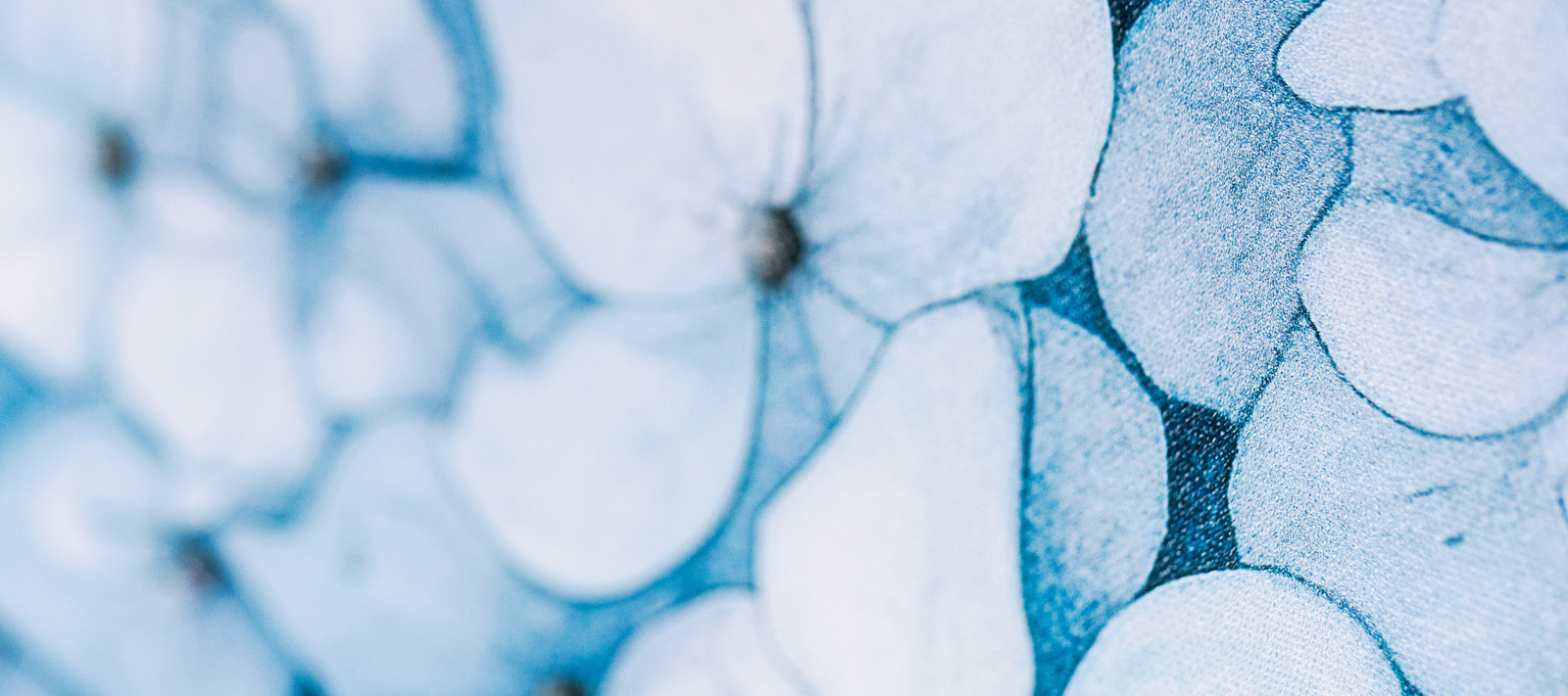 Step-by-Step Guide to Installing Bathroom Wallpaper by Funky Paper Co