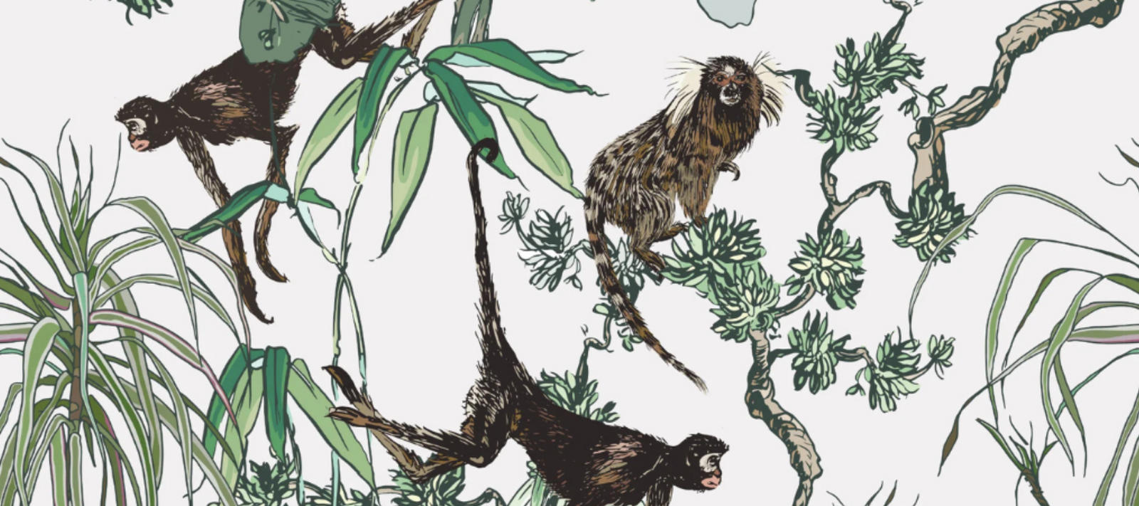 Wallpaper Trends We Love Maximalist Monkey Wallpaper Funky Paper Co