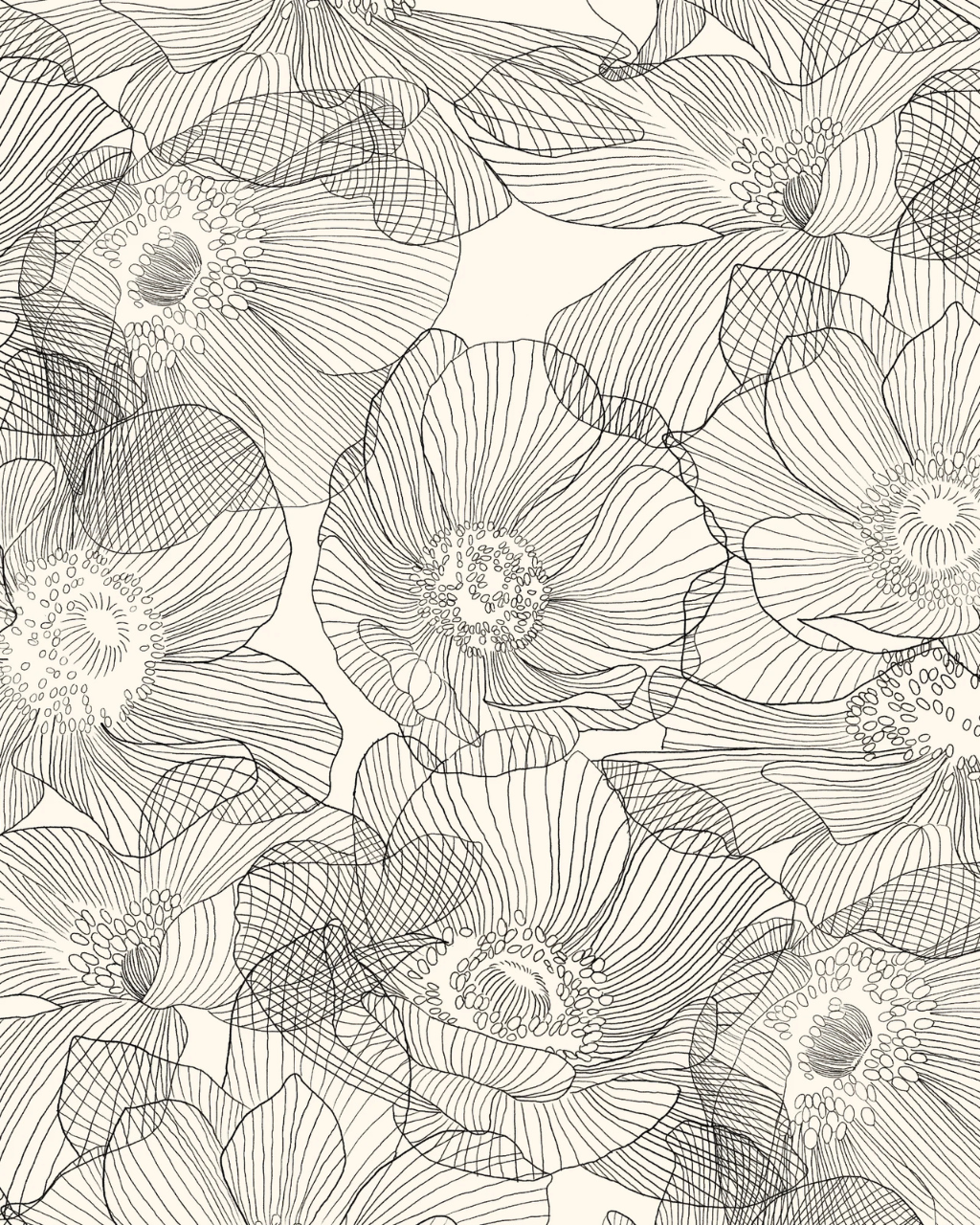 Anemones Black & White Peel and Stick Wallpaper in Bathroom