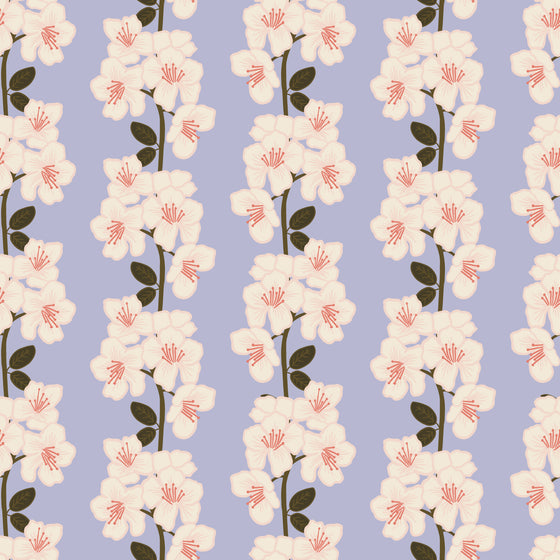 Cherry Blossoms Wallpaper X Nalani Jones