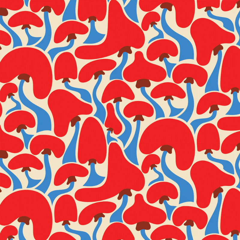 Groovy Mushrooms Peel and Stick Wallpaper | Delightful Dreams X Carrie Cantwell | Funky Paper Co