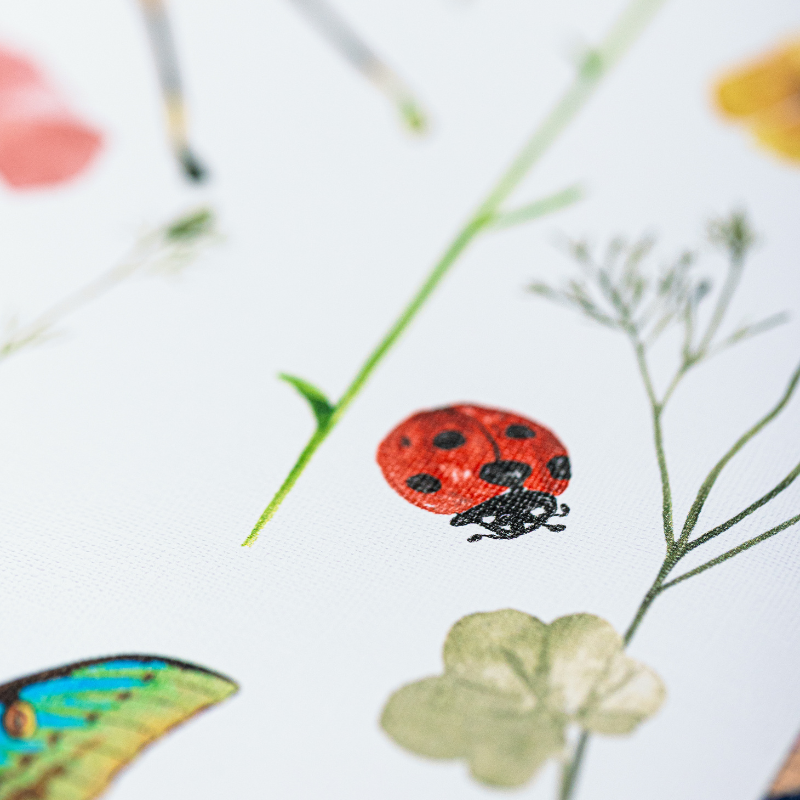 Ladybug & Butterfly Peel and Stick Wallpaper | Step-by-Step Guide to Installing Bathroom Wallpaper | Funky Paper Co.