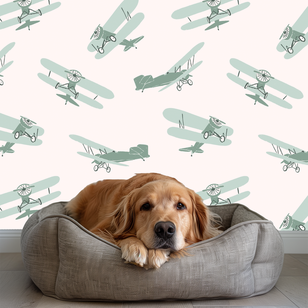 Vintage Airplanes - Green