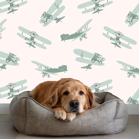 Vintage Airplanes in Green X Jenny Koland