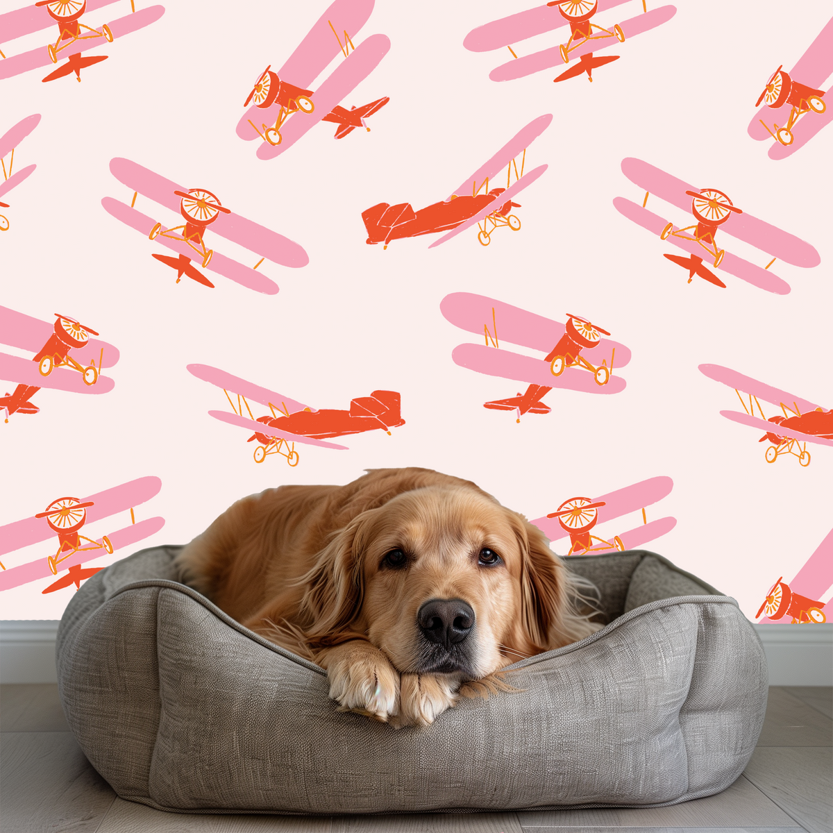 Vintage Airplanes - Pink