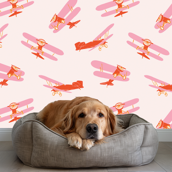 Vintage Airplanes in Pink