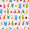 Rainbow Beetles