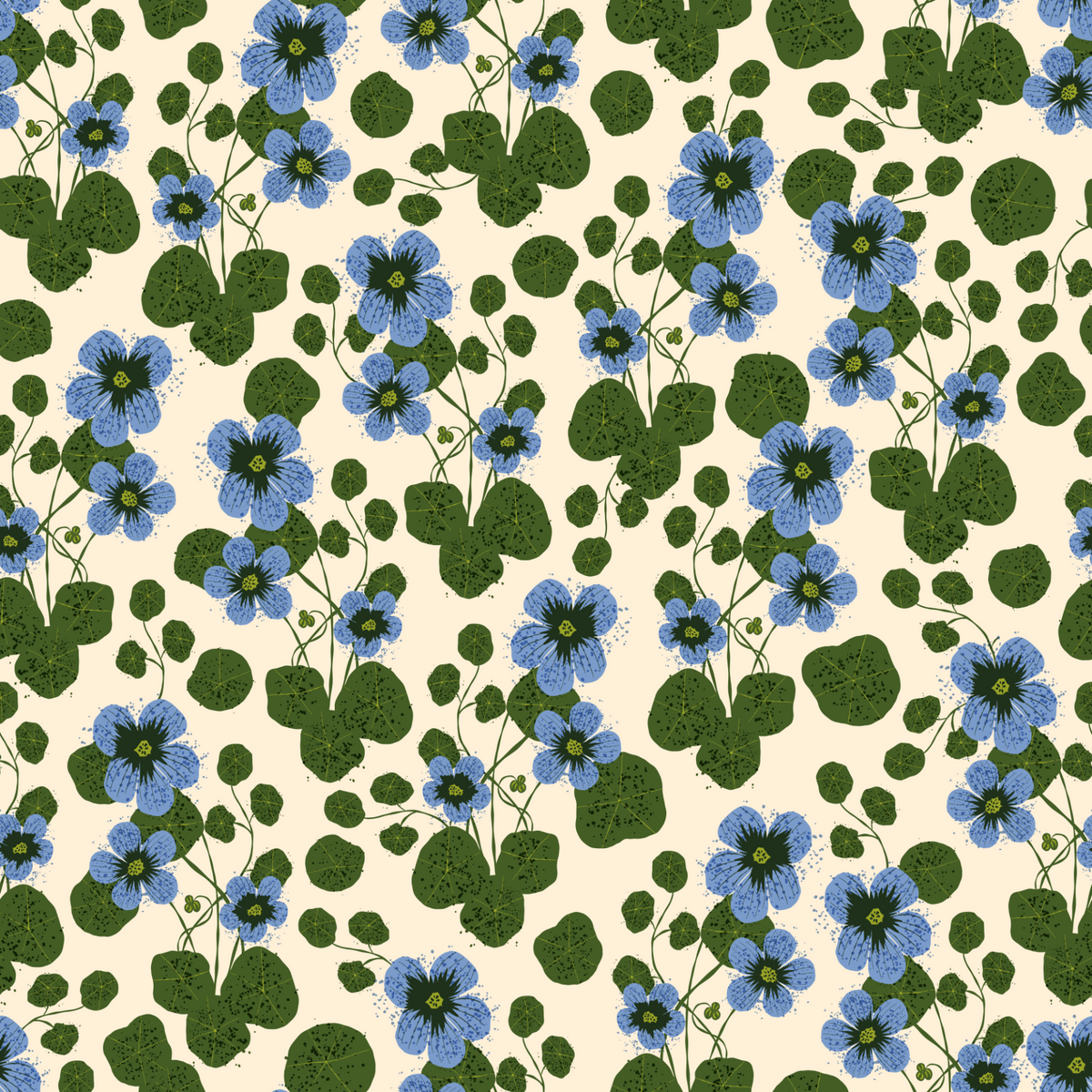 Blue Nasturtiums