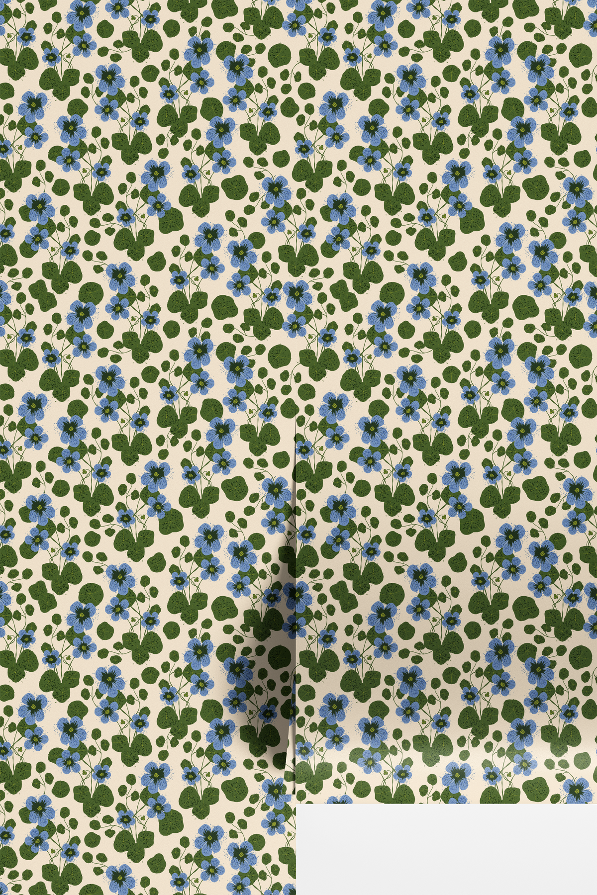 Blue Nasturtiums
