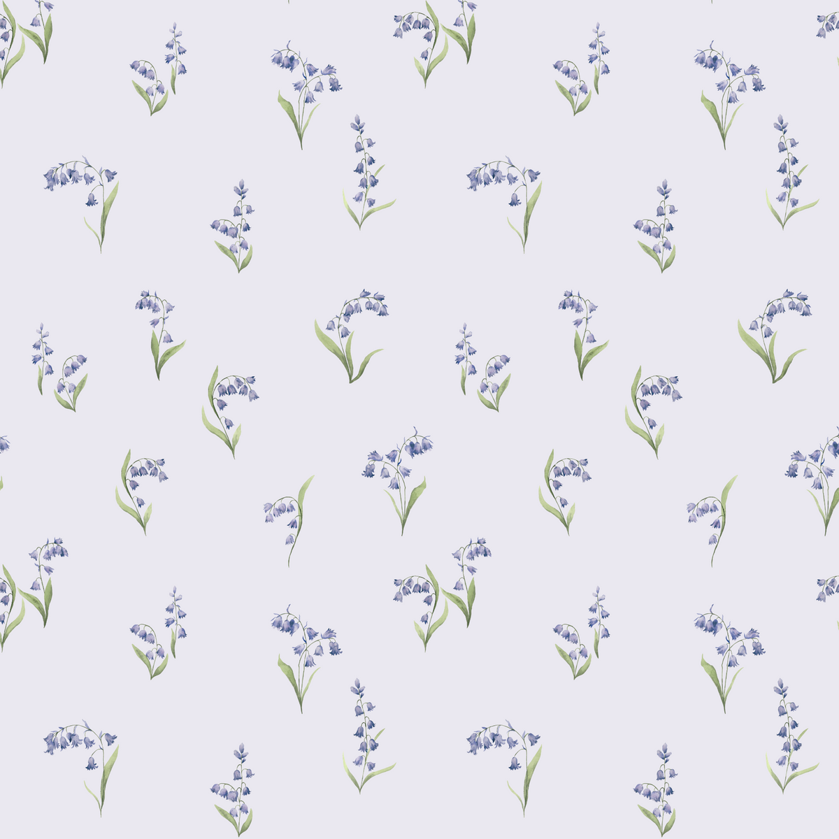 Bluebell Patch
