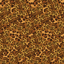  Hidden Leopards