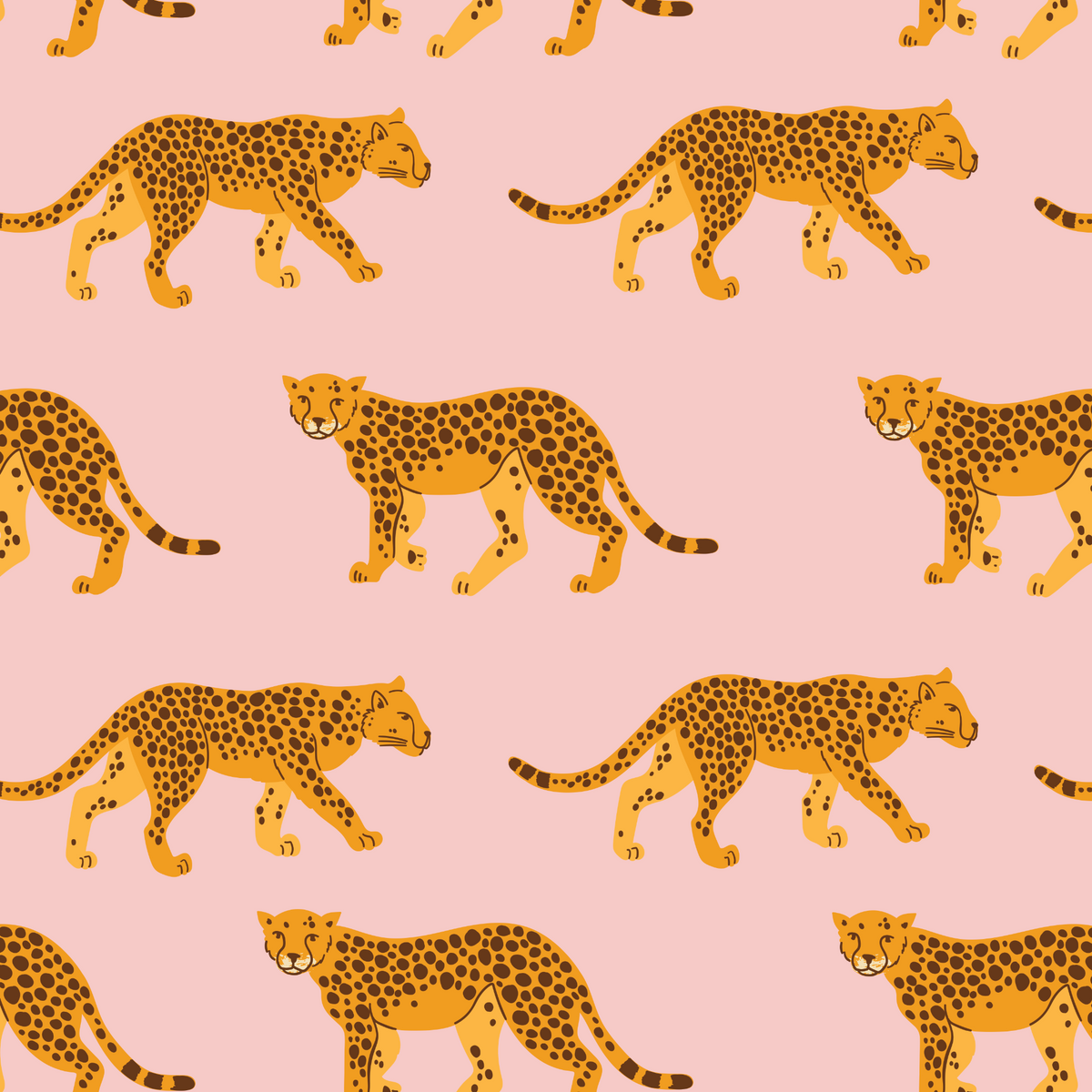 Cheetahs - Pink