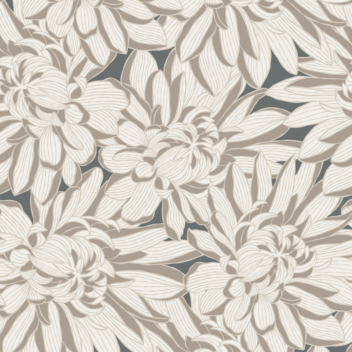 Chrysanthemums - Taupe