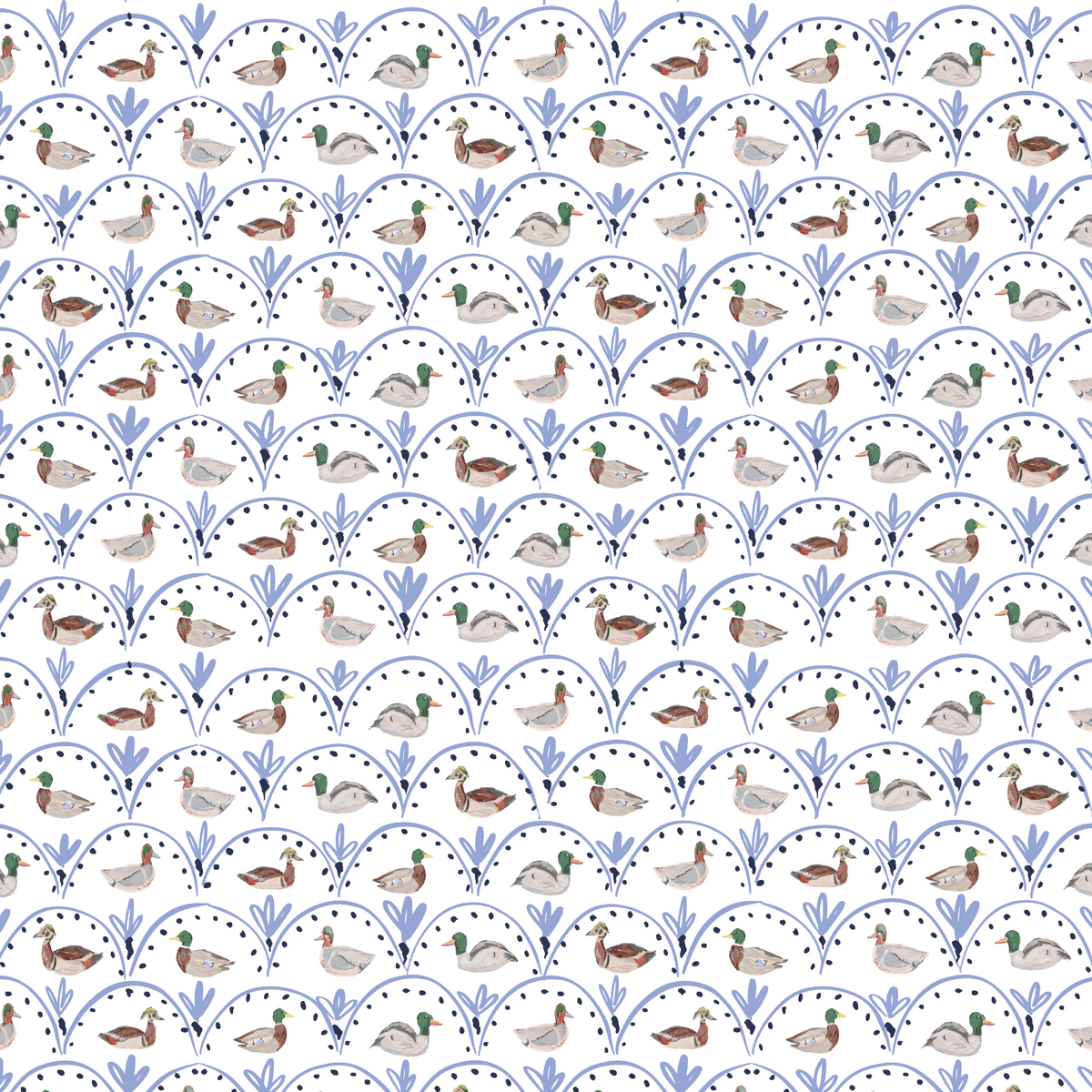 Ducks - White