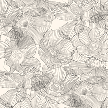  Anemones - Black and White