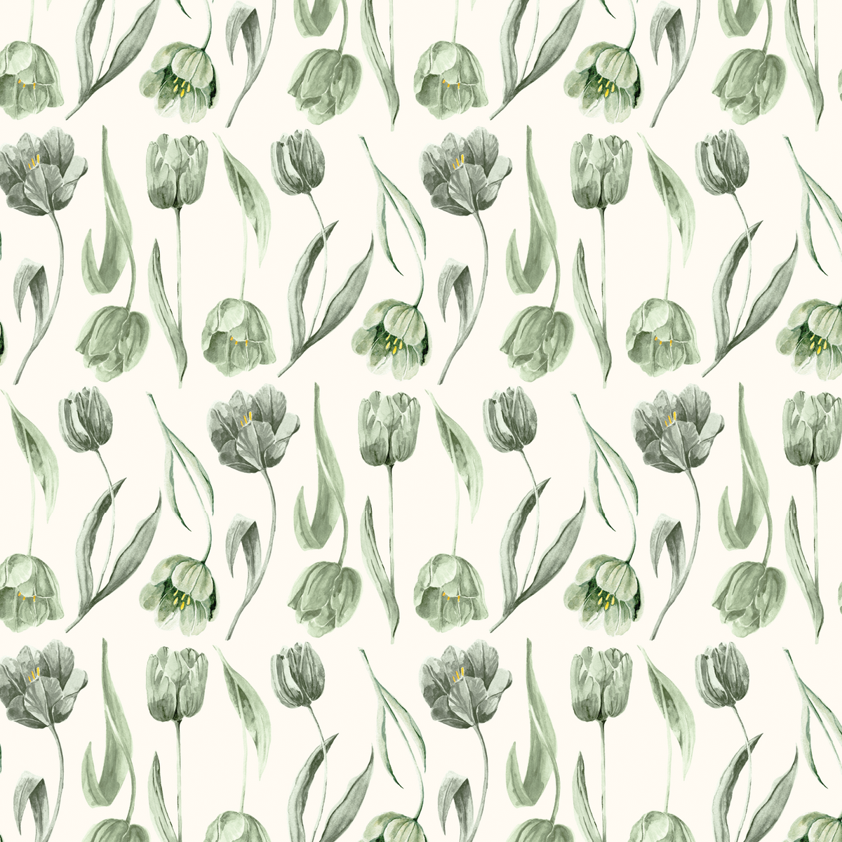Dutch Watercolor Tulips - Green &amp; Cream
