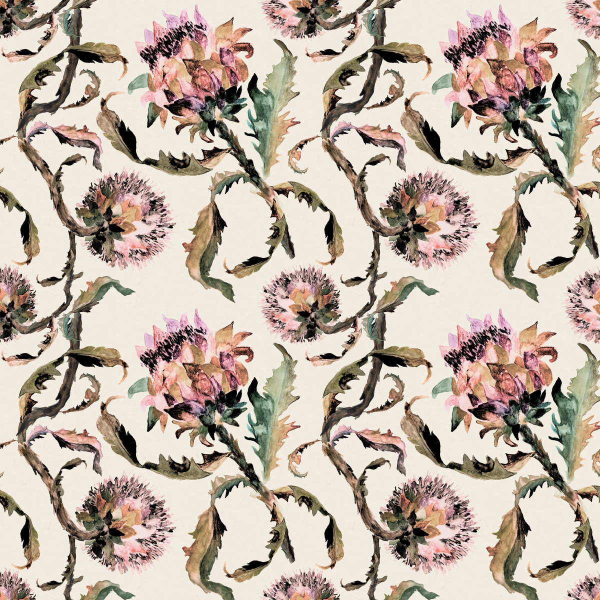Highland Bloom