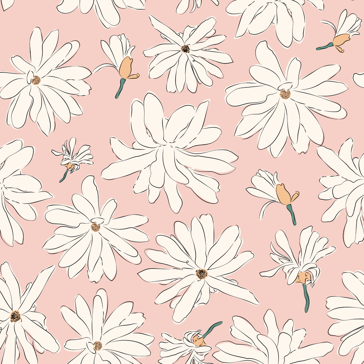Star Magnolia - Pink