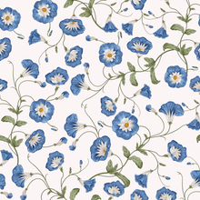  Morning Glory Vine Wallpaper X Uta Naumann