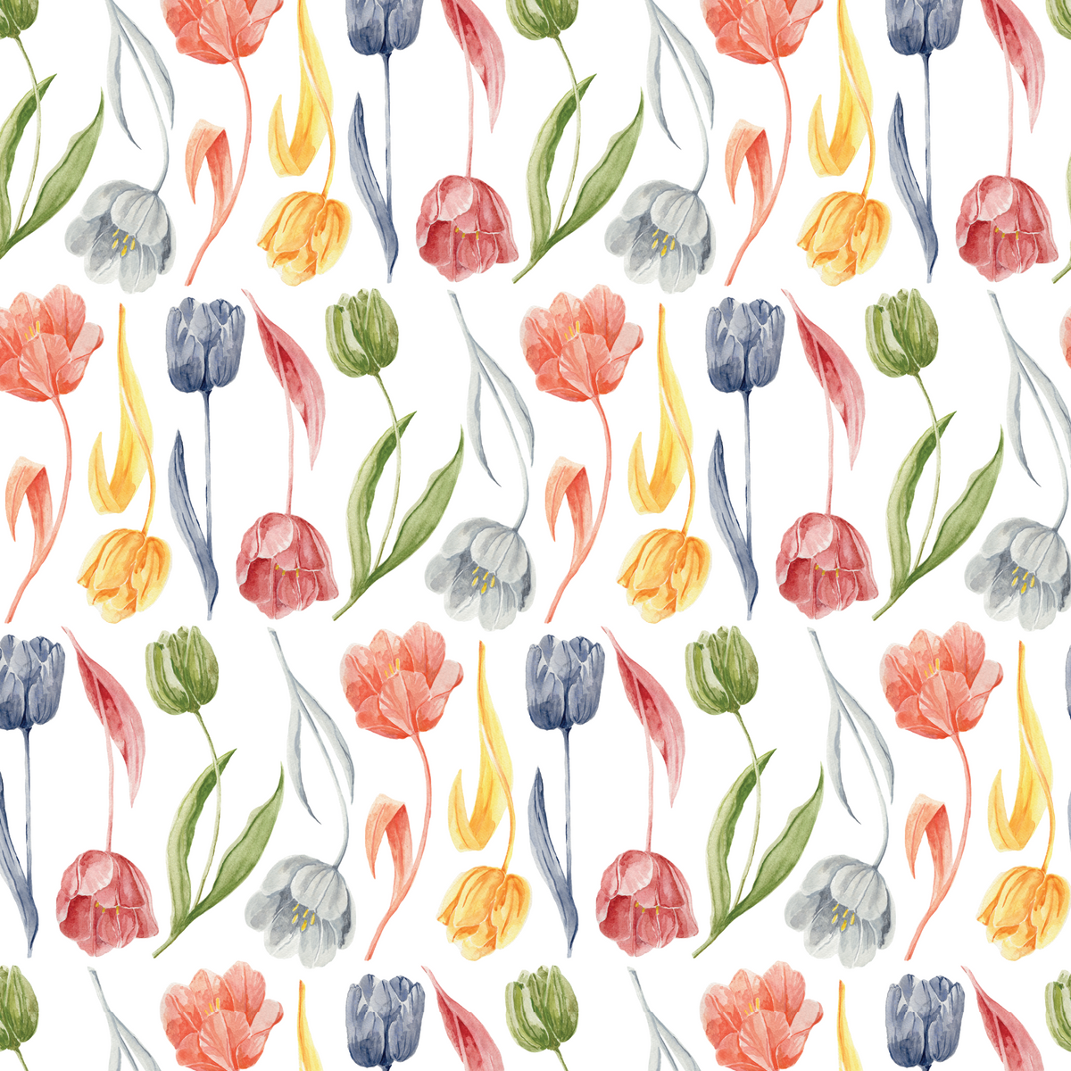 Dutch Watercolor Tulips - Multicolor