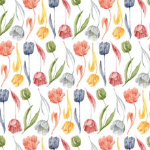  Dutch Watercolor Tulips - Multicolored