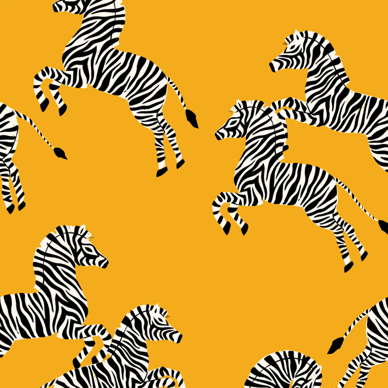 Nairobi in Orange, a bold zebra print wallpaper on an amber background by Funky Paper Co