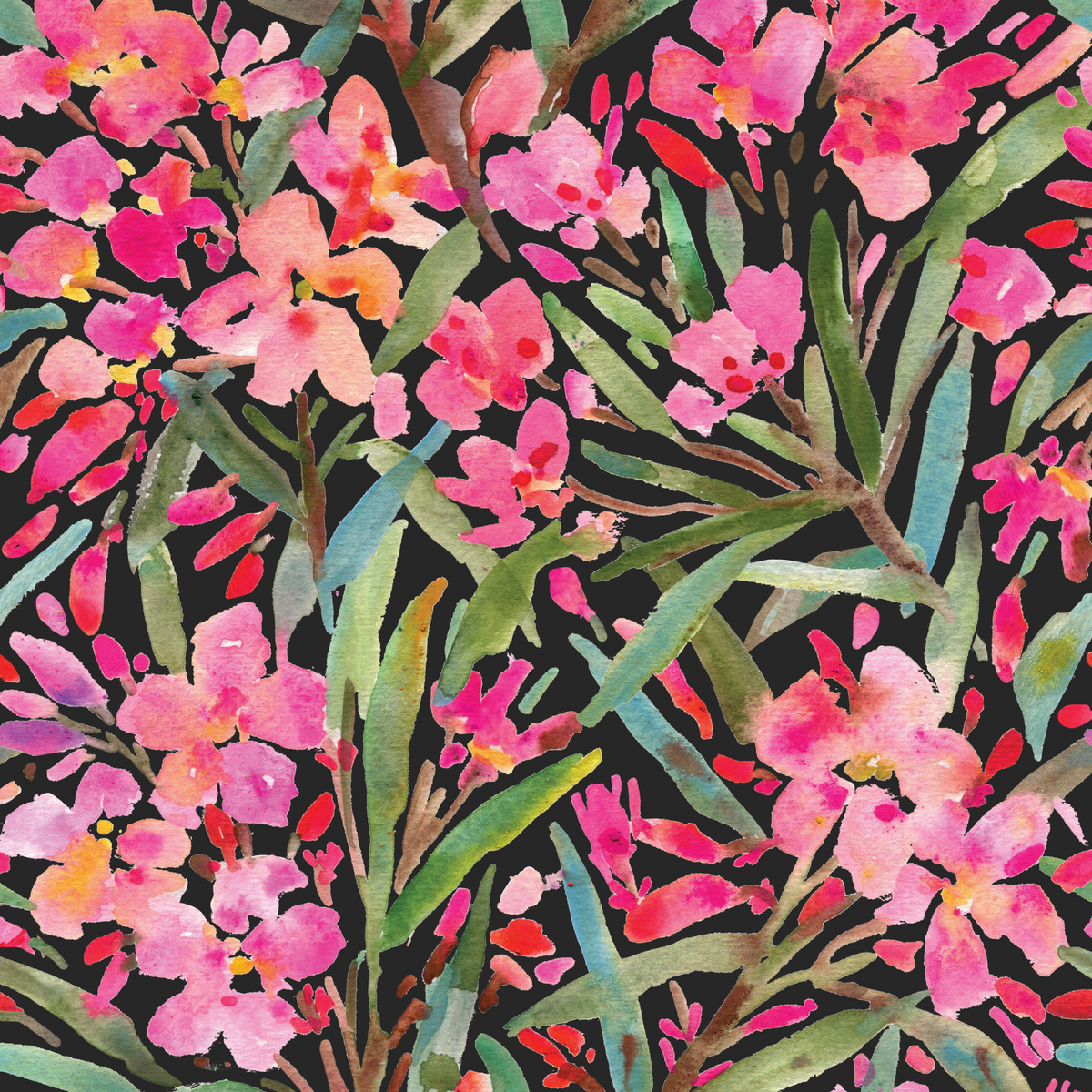 Oleander - Black