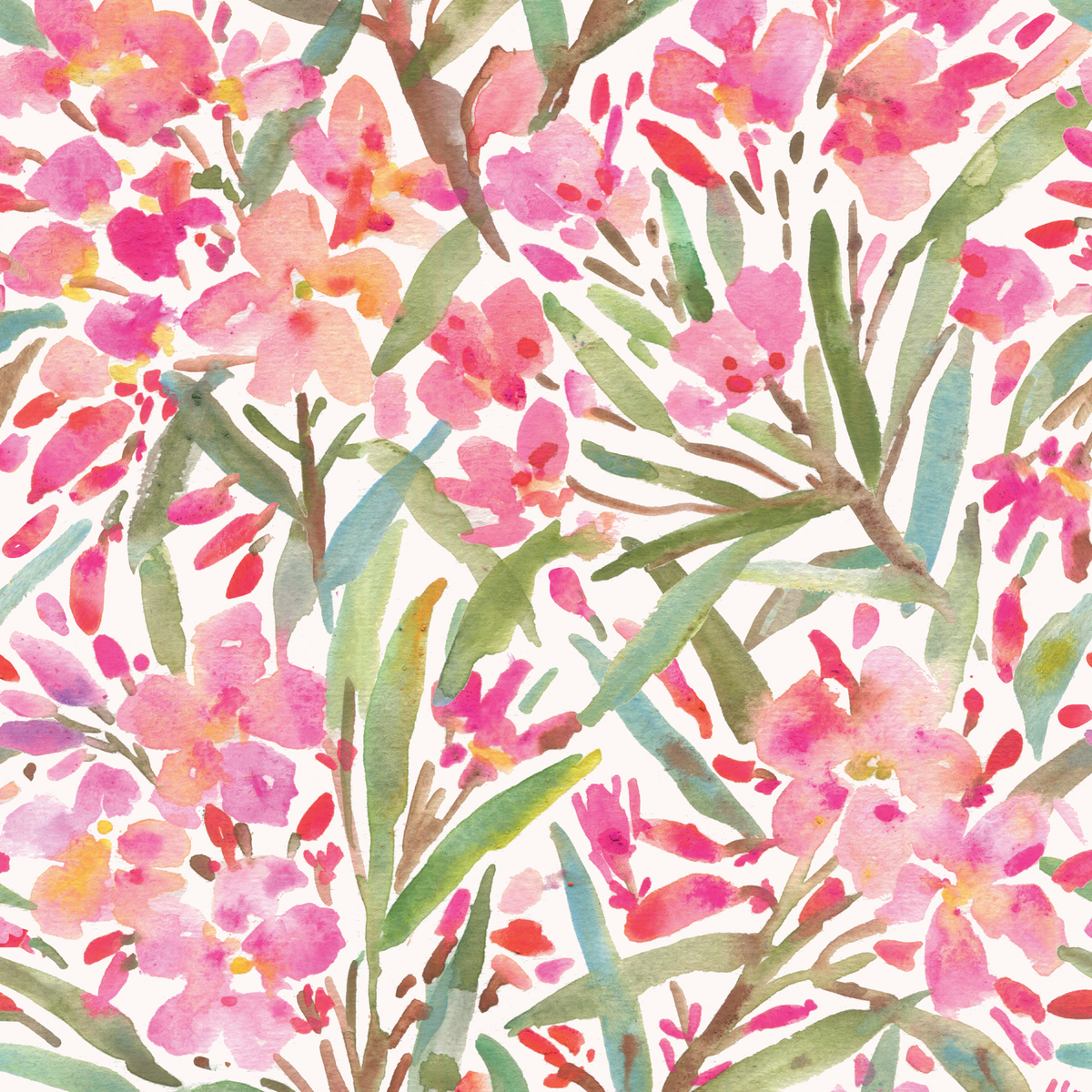 Oleander - Cream
