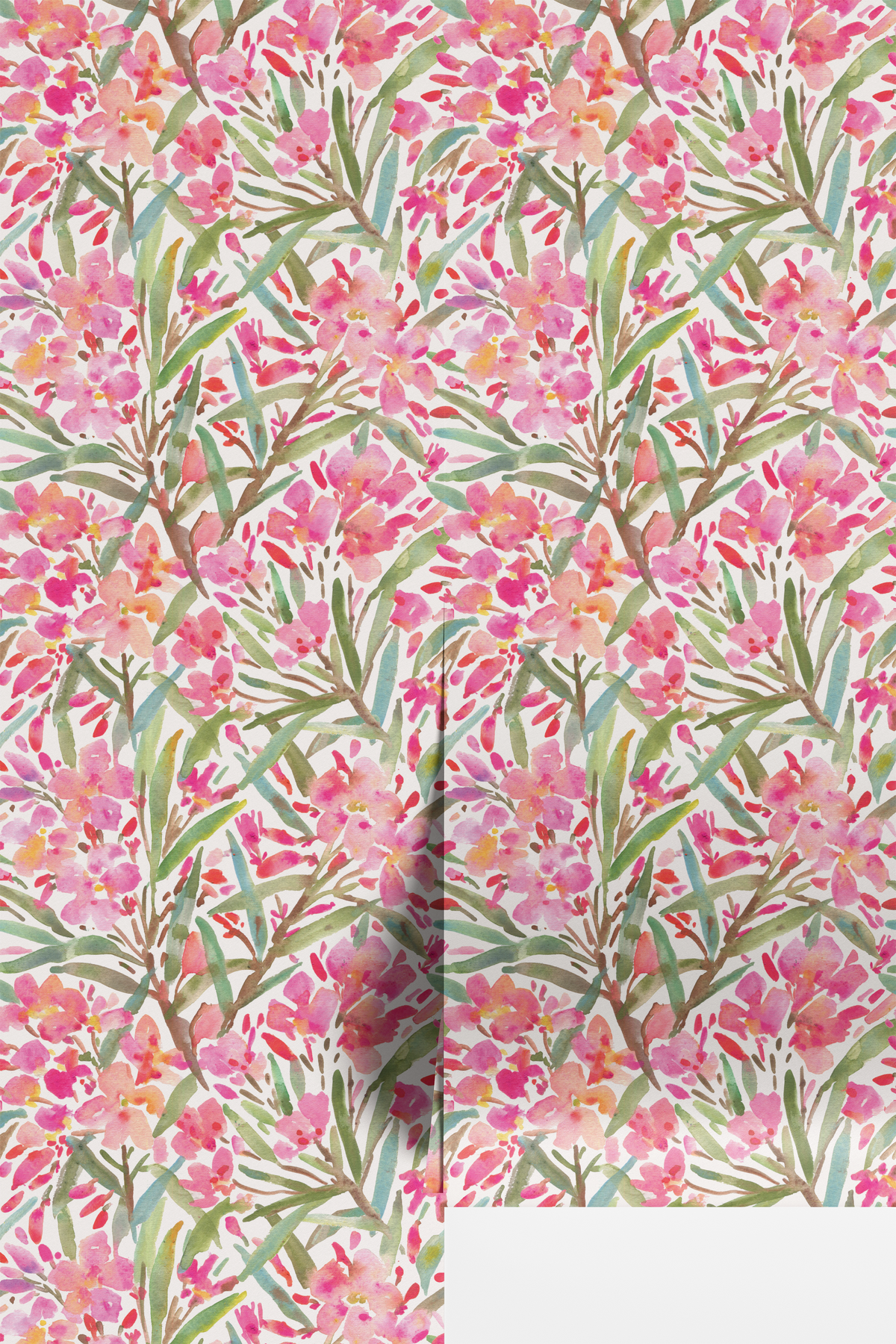 Oleander - Cream