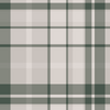 The Allie Hunter Collection - Oversized Plaid in Green