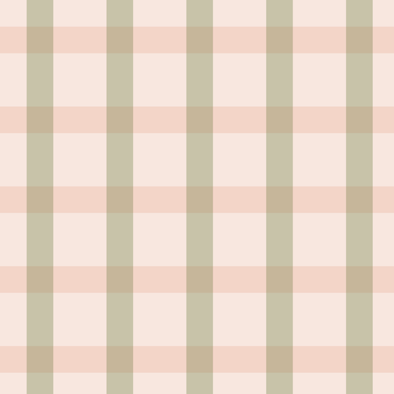 Gingham Wallpaper X Inés Sterlicchio