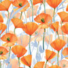 Golden Poppies Wallpaper X Uta Naumann