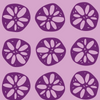 Lotus Root in Purple