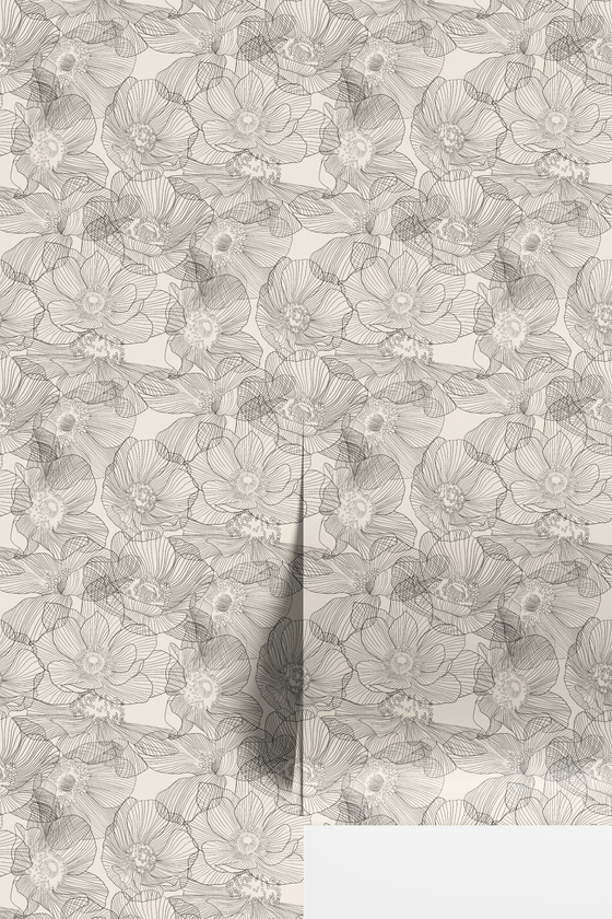 Anemones - Black and White