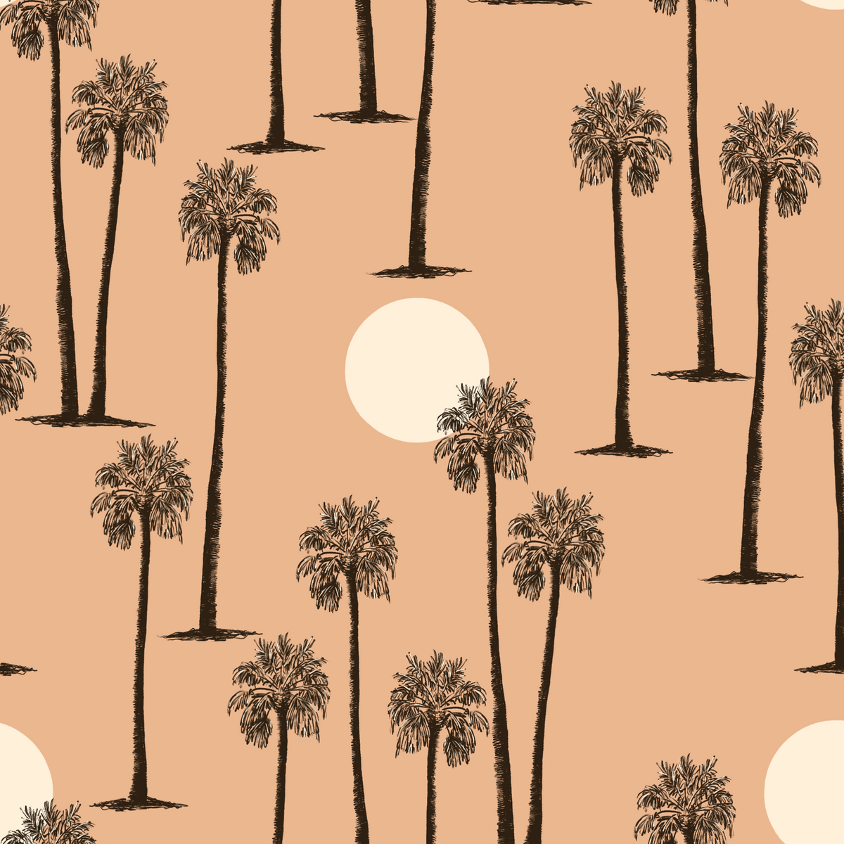 Palm Springs Canyon Sunset - Sand Pink