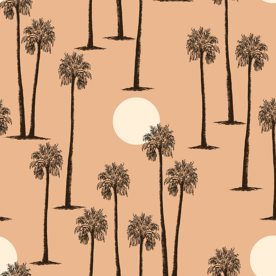 Palm Springs Canyon Sunset in Sand Pink