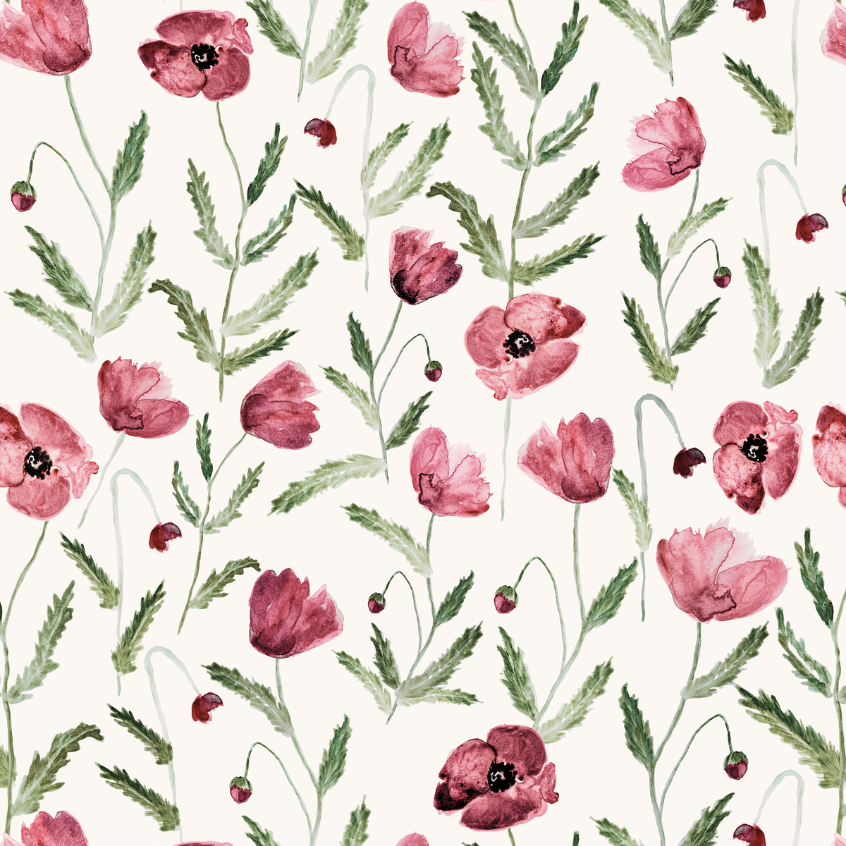Scarlet Poppy