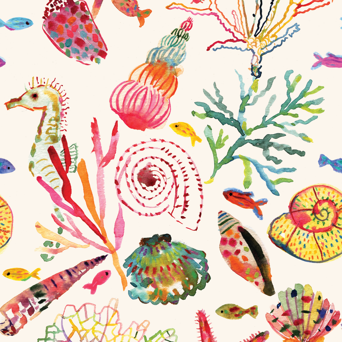 Every Seashell Has a Story