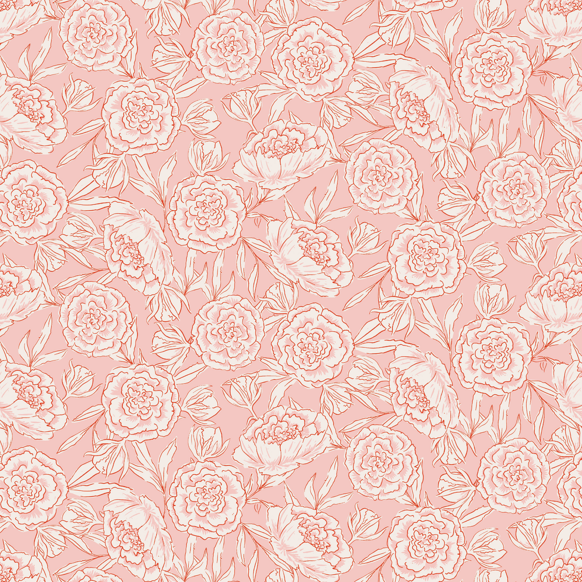 Sketchy Peonies - Pink