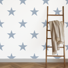 Lonestar Wallpaper in Denim