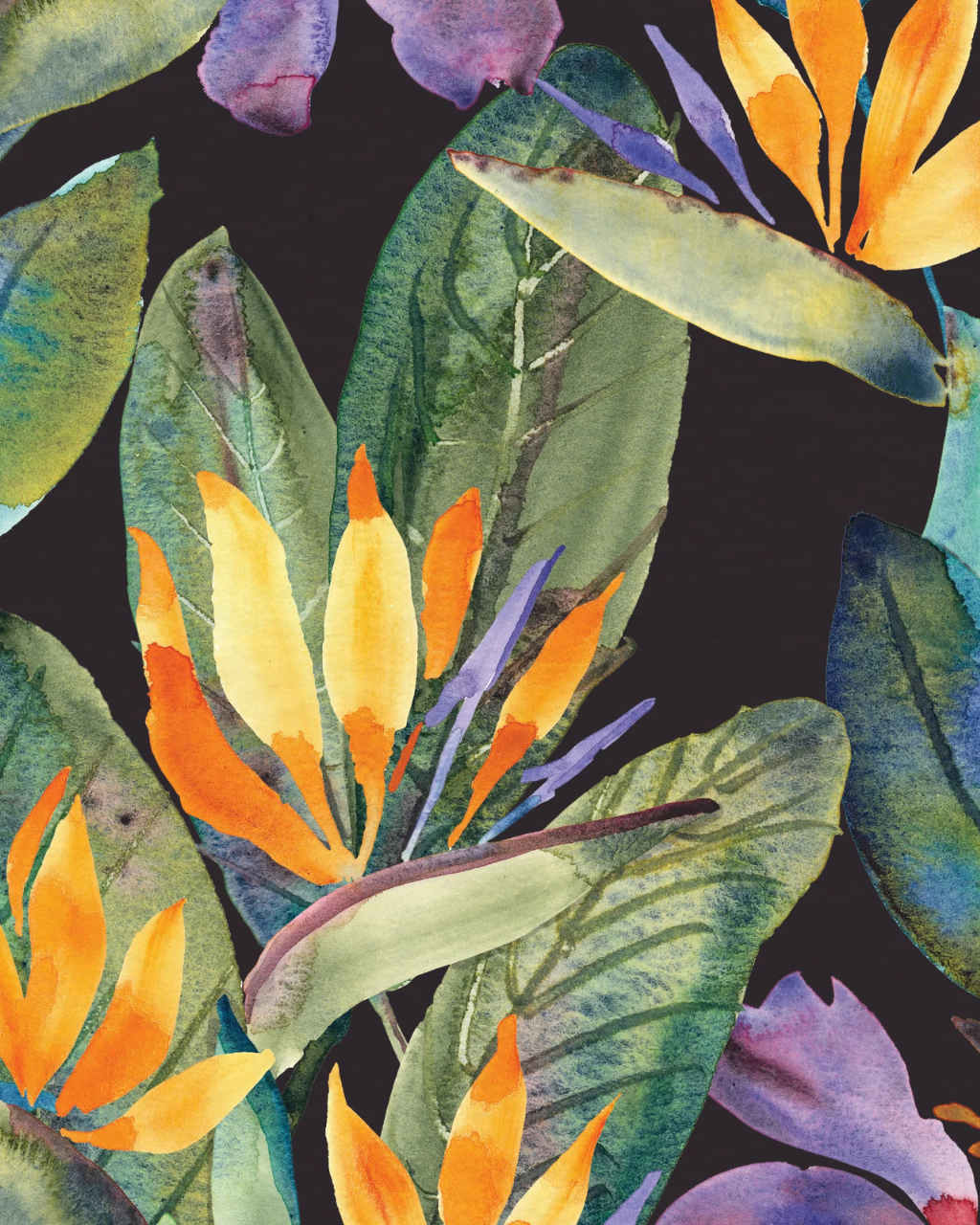 Close-up of Tropical Bird of Paradise Black wallpaper by Valerie Englehart featuring vibrant yellow, orange, and blue flowers with lush green leaves on a black background | Peel and stick Wallpaper by Funky Paper Co
