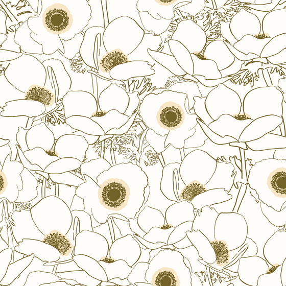 All the Anemones in White