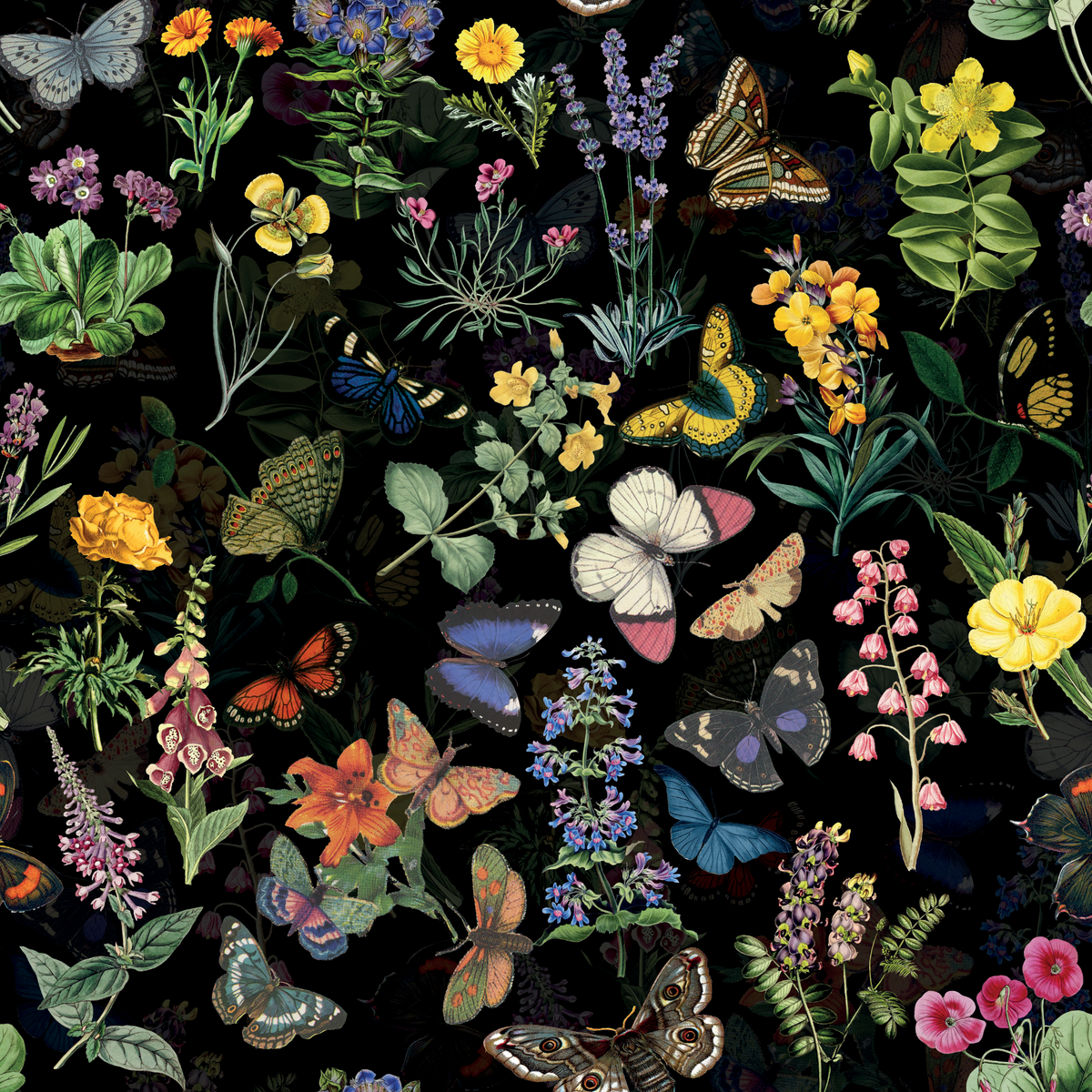 Wildflower Wonderland